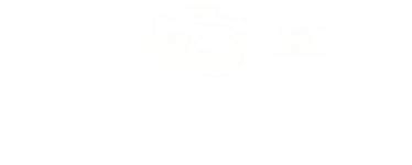 amf logo 2015